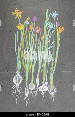 Lavagna con fiori di primavera disegnato in Chalk Foto Stock