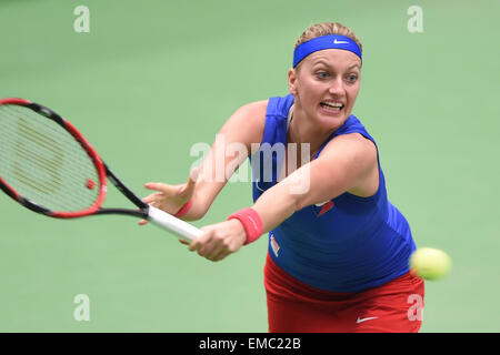 Ostrava, Repubblica Ceca. Xviii Apr, 2015. Ceca giocatore di tennis Petra KVITOVA in azione durante la semifinale Repubblica Ceca vs. Francia Fed Cup match contro Kristina Mladenovic in Ostrava, Repubblica ceca, 18 aprile 2015. © Jaroslav Ozana/CTK foto/Alamy Live News Foto Stock