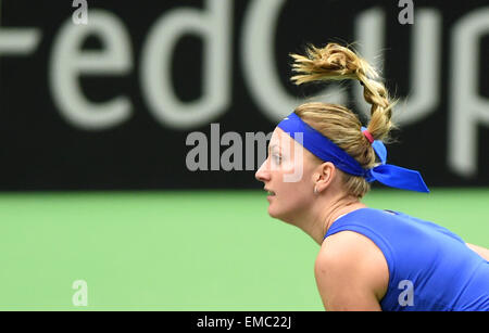 Ostrava, Repubblica Ceca. Xviii Apr, 2015. Ceca giocatore di tennis Petra KVITOVA in azione durante la semifinale Repubblica Ceca vs. Francia Fed Cup match contro Kristina Mladenovic in Ostrava, Repubblica ceca, 18 aprile 2015. © Jaroslav Ozana/CTK foto/Alamy Live News Foto Stock