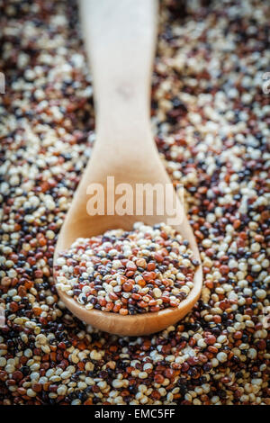 Il cucchiaio di legno di quinoa crudo grani tricolore Foto Stock