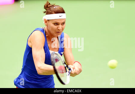 Ostrava, Repubblica Ceca. Xviii Apr, 2015. Ceca giocatore di tennis Lucie SAFAROVA in azione durante la semifinale Repubblica Ceca vs. Francia Fed Cup match contro Caroline Garcia a Ostrava, Repubblica ceca, 18 aprile 2015. © Jaroslav Ozana/CTK foto/Alamy Live News Foto Stock