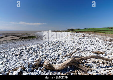 Spiaggia di Aberthaw, Glamorgan Heritage Costa, Vale of Glamorgan, South Wales, Regno Unito. Foto Stock