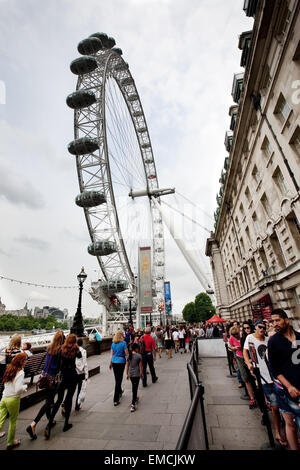 Il London Eye situato sul fiume Thames, London, England Regno Unito Foto Stock