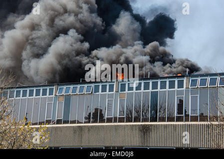 Brighton, Regno Unito. Xx Apr, 2015. Ingenti quantità di fumo e di fiamme come vigili del fuoco affrontare un tripudio a Hove Town Hall scoppiata intorno all ora di pranzo di oggi. Il municipio ospita gli uffici del Consiglio e della stazione di polizia. Credito: Julia Claxton/Alamy Live News Foto Stock