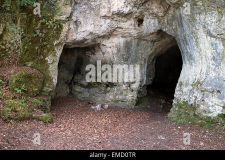 King Arthur's Cave, la Doward, Symonds Yat, Herefordshire, England, Regno Unito Foto Stock