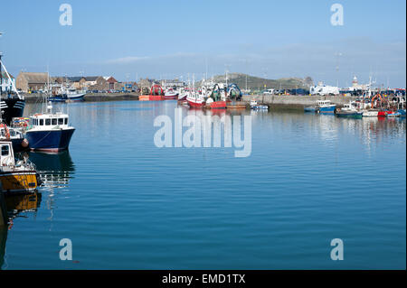 La pesca barche ormeggiate nel porto di Howth, Dublino, Irlanda Foto Stock