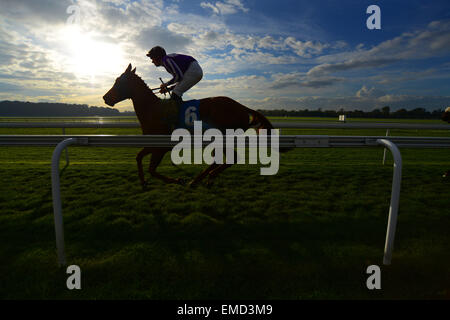 Un fantino fa il suo modo per l'inizio di una gara a York Racecourse, North Yorkshire, Regno Unito. Immagine: Scott Bairstow/Alamy Foto Stock