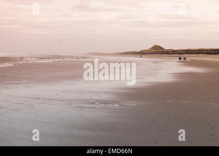 Germania, Langeoog isola, il paesaggio costiero Foto Stock