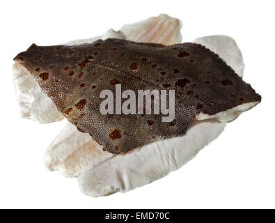 La Passera di mare Filetti di pesce non cotti Foto Stock