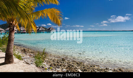 Una perfetta spiaggia di Bora Bora Foto Stock