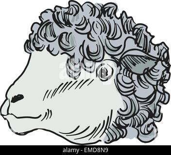 testa di pecora Illustrazione Vettoriale