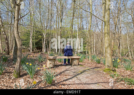 Una donna si siede tra gli alberi e i narcisi a Emmetts Giardini in Kent Foto Stock