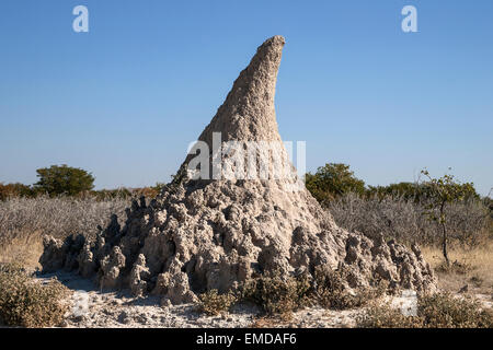 Termite mound, il Parco Nazionale di Etosha, Namibia Foto Stock