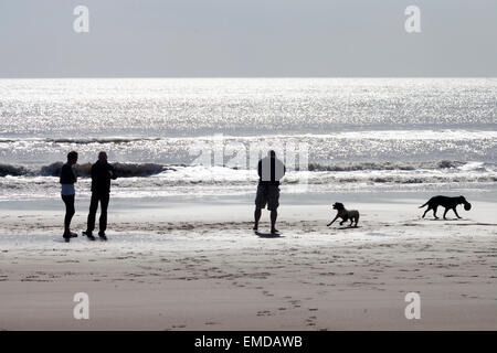 Silhouette, Dog Walkers, contro il sole sull'acqua, Compton Bay, Isle of Wight, England, Regno Unito Foto Stock