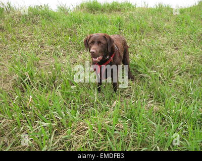 Soggiorno! Foto Stock
