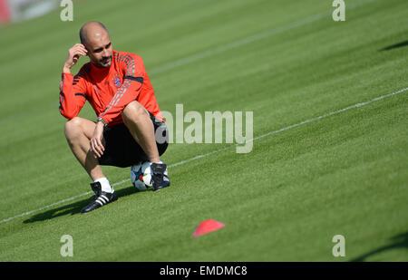 Monaco di Baviera, Germania. Xx Apr, 2015. Pep Guardiola, allenatore del club calcistico tedesco FC Bayern Monaco, orologi l'ultima sessione di allenamento mentre è seduto su una sfera di Monaco di Baviera, Germania, il 20 aprile 2015. Monaco di Baviera dovrà affrontare la FC Porto durante la Champions League quarti seconda gamba corrisponde il 21 aprile 2015. Credito: dpa picture alliance/Alamy Live News Foto Stock