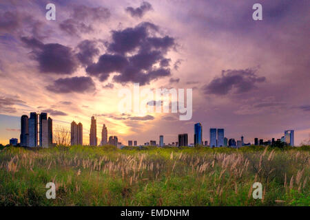 Prenotazione ecologico Park, dal River Plate (Rio de la Plata). "Costanera Sur". Buenos Aires, Argentina, Sud America. Foto Stock