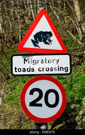 Un cartello stradale avvisa i conducenti a diffidare dei rospi migratori che attraversano la strada. In Shirebrook, Nottinghamshire, Inghilterra. Il 20 aprile Foto Stock