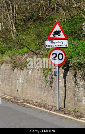 Un cartello stradale avvisa i conducenti a diffidare dei rospi migratori che attraversano la strada. In Shirebrook, Nottinghamshire, Inghilterra. Il 20 aprile Foto Stock