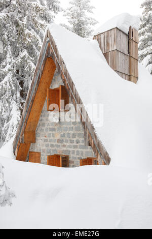 Abete coperto di neve su una montagna invernale accanto o accanto alle case di legno sepolto nella neve a causa di neve alta blizzard su clea Foto Stock
