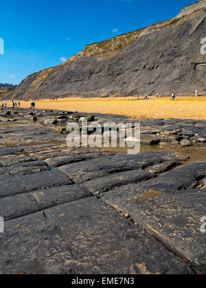 Wave piattaforma di taglio sulla spiaggia di Jurassic Coast Sito Patrimonio Mondiale a Charmouth West Dorset England Regno Unito Foto Stock