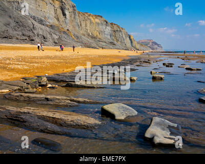 Sulla spiaggia di Jurassic Coast Sito Patrimonio Mondiale a Charmouth West Dorset Regno Unito Inghilterra guardando ad est verso la Golden Cap Foto Stock