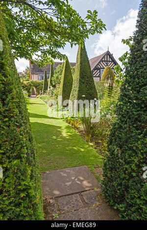 Ritagliato yew guglie del Yew a piedi a Wollerton Old Hall Giardini Giardino Wollerton Market Drayton Shropshire England Regno Unito Foto Stock