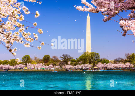 Washington, D.C. Il Monumento a Washington durante la primavera. Foto Stock