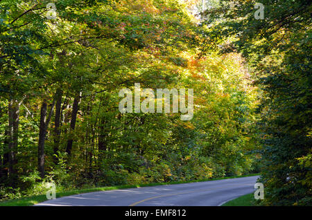 I colori autunnali nei pressi di Ottawa River Valley in giornata soleggiata Foto Stock