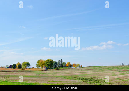 Campo di grano mietuto in una giornata autunnale Foto Stock