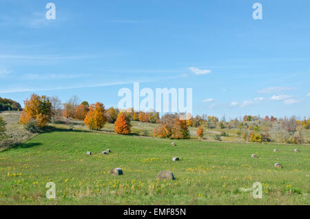 Campo di grano mietuto in una giornata autunnale Foto Stock