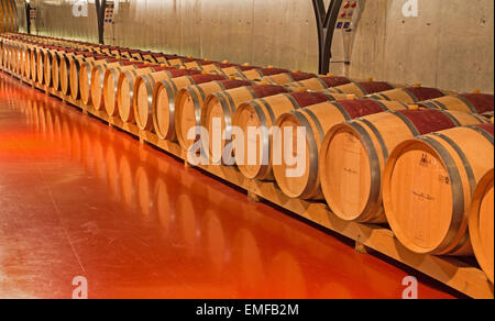 TRNAVA, Slovacchia - 3 Marzo 2014: coperta della moderna cantina di vini di grande produttore slovacco 'Mrva e Stanko'. Foto Stock