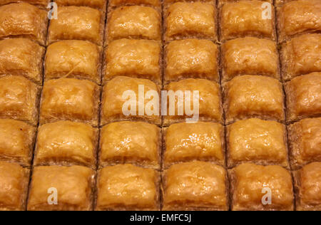 Close-up tradizionale turca baklava (dolce dolce fatto di pasta sottile, noci e miele) Foto Stock