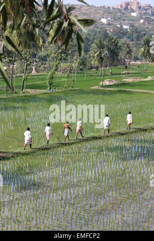 Vijayanaga (Hampi), un patrimonio mondiale UNESCO sito archeologico nell India meridionale Foto Stock