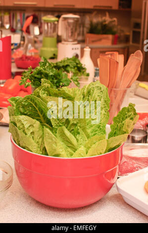 Lattuga in red pot Foto Stock