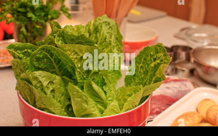 Lattuga in red pot Foto Stock