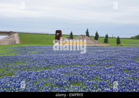 Bluebonnets in fiore a Round Rock, Texas città limiti segno Foto Stock