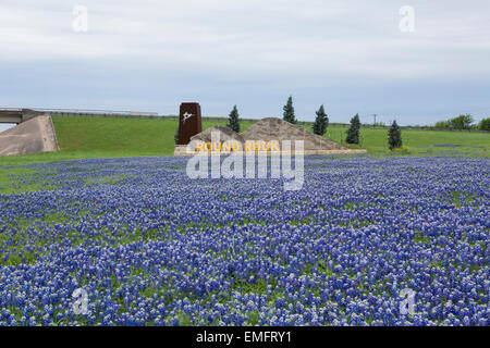 Bluebonnets in fiore a Round Rock, Texas città limiti segno Foto Stock