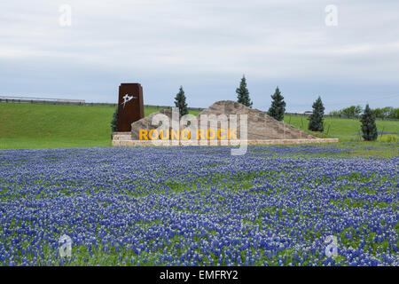 Bluebonnets in fiore a Round Rock, Texas città limiti segno Foto Stock