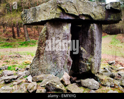 In piedi in pietra druidi Plantation Ilton vicino a Masham North Yorkshire, Inghilterra Foto Stock