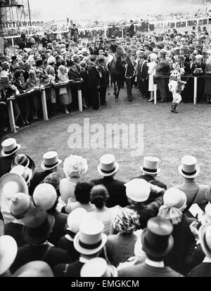 1965 Epsom Derby corsa di cavalli. Francese mare cavallo Bird II e jockey Pat Glennon portato nel contenitore dei vincitori dopo la gara dal proprietario. 2 Giugno 1965. Foto Stock