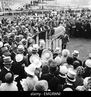 1965 Epsom Derby corsa di cavalli. Francese mare cavallo Bird II e jockey Pat Glennon led nel contenitore dei vincitori dopo la gara. 2 Giugno 1965. Foto Stock