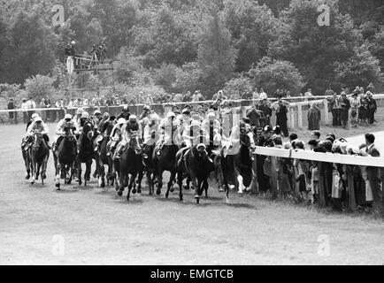 1965 Epsom Derby corsa di cavalli. Azione al settimo furlong post con francese mare cavallo Bird II cavalcato da fantino Pat Glennon boxed nel centro del pacco. 2 Giugno 1965. Foto Stock