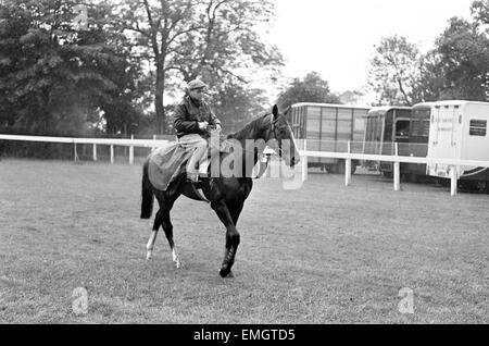 Francese mare cavallo Bird II in formazione il giorno prima il Derby di Epsom cavallo di razza. Il 1 giugno 1965. Foto Stock