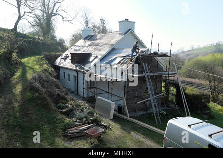 Carmarthenshire, Wales, Regno Unito. Xxi Aprile 2015. Costruttori Brian bianco e Jim Hill mettere un nuovo tetto su un territorio rurale gallese casa di pietra nel favoloso sole meteo nelle zone rurali Carmarthenshire Galles Occidentale. Il meteo prevede cielo azzurro e belle caldo fino alla fine della settimana. Kathy deWitt/Alamy Live News Foto Stock