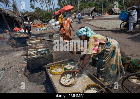 Acciughe essiccate presso la costa di zanzibar Foto Stock