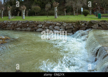 Una piccola cascata sul fiume miono, Cantabria, Spagna settentrionale, Foto Stock