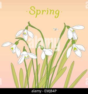 Snowdrops spring bouquet. Disegnate a mano illustrazione vettoriale. Scheda, modello di invito Illustrazione Vettoriale