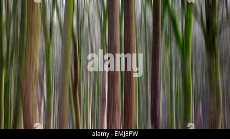 Tronchi di alberi con aggiunta di motion blur. Foto Stock