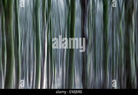 Tronchi di alberi con aggiunta di motion blur. Foto Stock